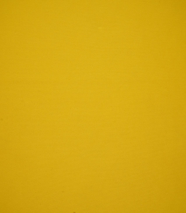 Interlock Weft Knitted Fabric